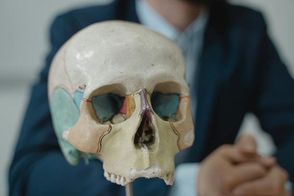Comment l'intelligence artificielle transforme-t-elle le développement des entreprises ?